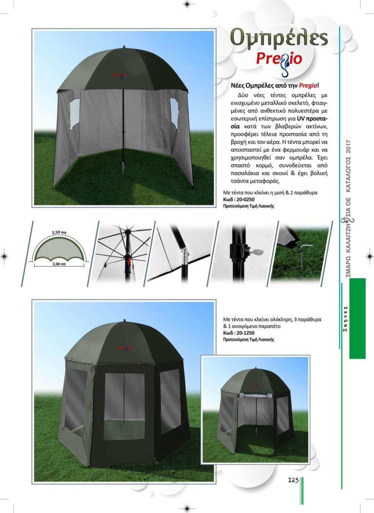 Layout 1